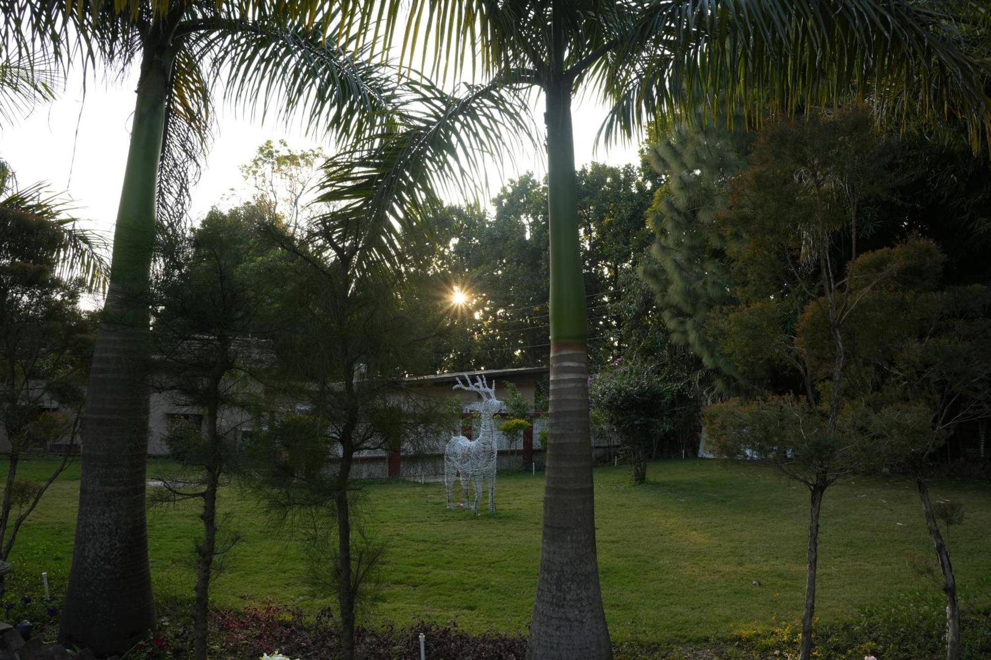 3Acres Resorts דהראדון מראה חיצוני תמונה